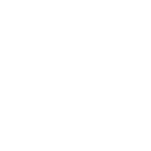 Bucket